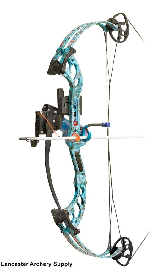 Compound bow 02